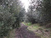 nte Ilice-20110120 011